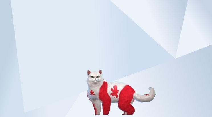 RepresentCanada Daanniielle.jpg.adapt.crop16x9.1455w