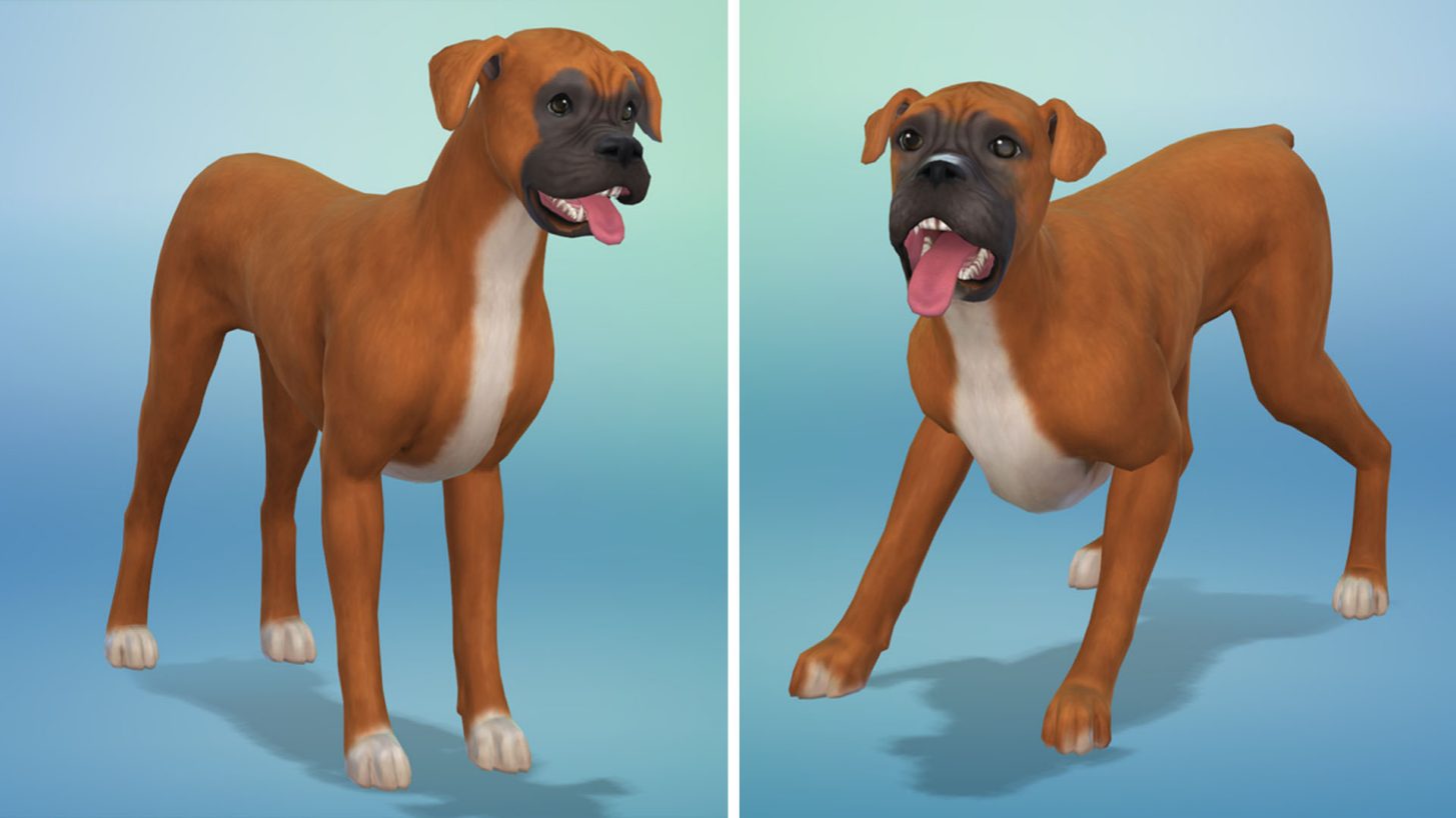 SIMGURUROMEO BOXERPUPS