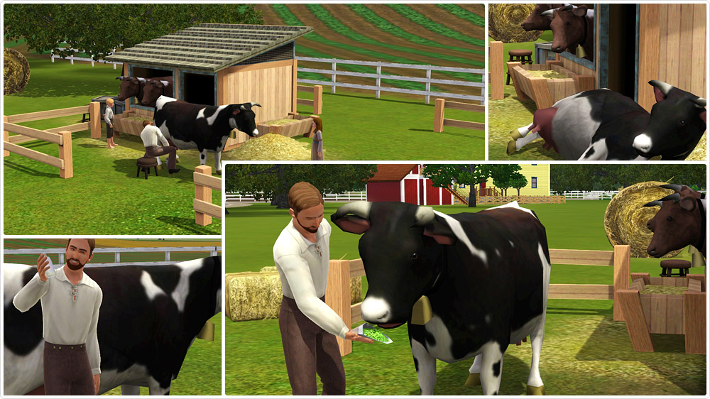 The Sims Farm Expansion Pack 