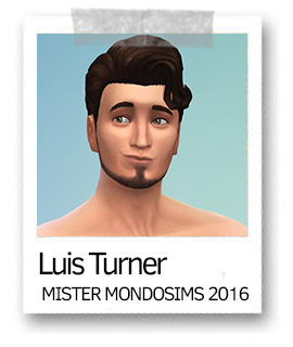 mister 2016
